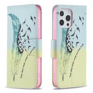 Feather and Birds