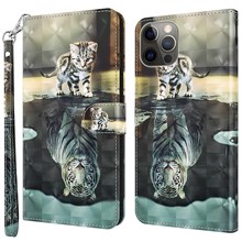 Cat and Tiger