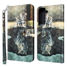 Cat and Tiger