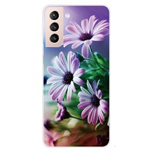 Purple Chrysanthemum