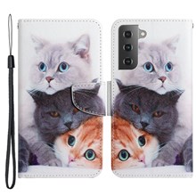 3 Cats