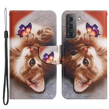 Butterfly and Cat