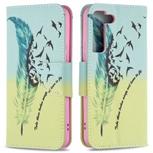 Feather and Birds