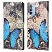 Blue Butterfly