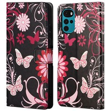 Butterflies and Flowers