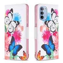 Two Butterflies