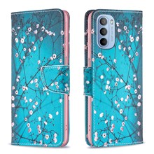 Plum Blossom