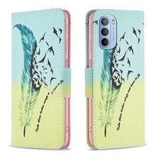 Feather and Birds