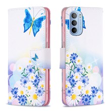Butterfly and Flowers