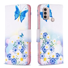 Butterfly and Flowers