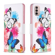 Two Butterflies