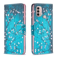 Plum Blossom