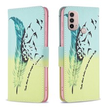 Feather and Birds