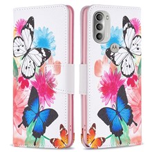 Two Butterflies