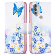 Butterfly and Flowers