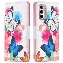 Two Butterflies