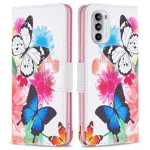 Two Butterflies