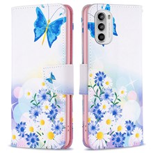 Butterfly and Flowers