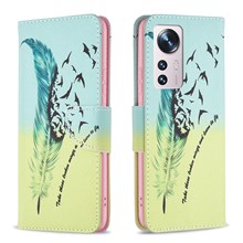 Feather and Birds