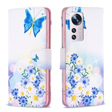 Butterfly and Flowers