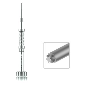 Torx T2