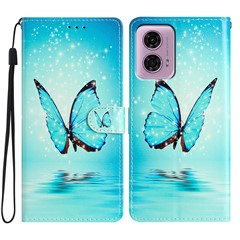 Blue Butterfly