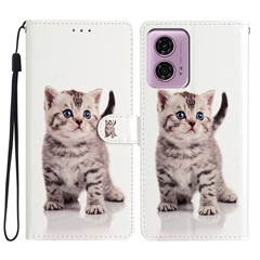 Cute Cat