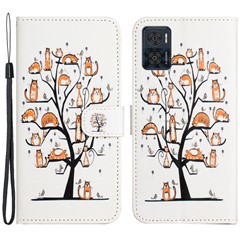 Cat and Tree