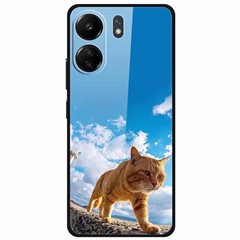 Blue Sky Yellow Cat