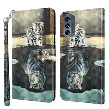 Cat / Tiger