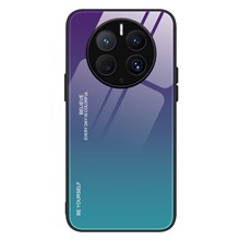Purple / Blue