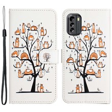 Cat and Tree