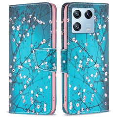 Plum Blossom