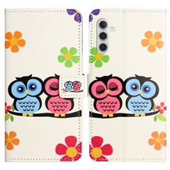 Couple Owls