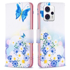 Butterfly and Flowers