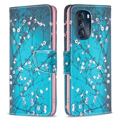 Plum Blossom