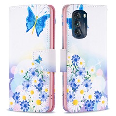 Butterfly and Flowers