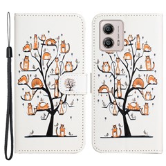 Cat and Tree