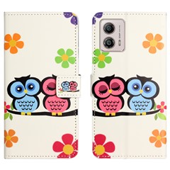 Couple Owls