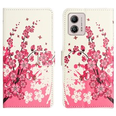 Plum Blossom