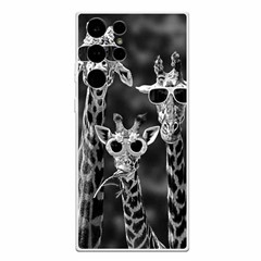 Sunglasses Giraffes