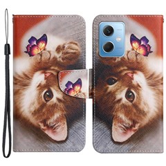 Butterfly/Cat