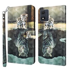 Cat and Tiger