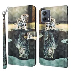 Cat and Tiger
