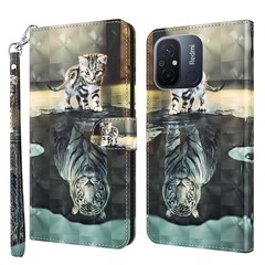 Cat and Tiger