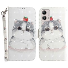 Cute Cat