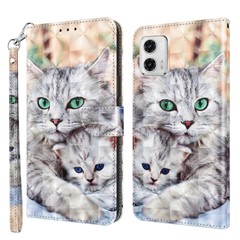 Two Cats
