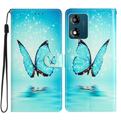 Blue Butterfly