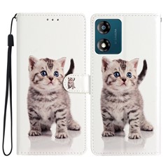 Cute Cat