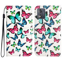 Colorful Butterfly